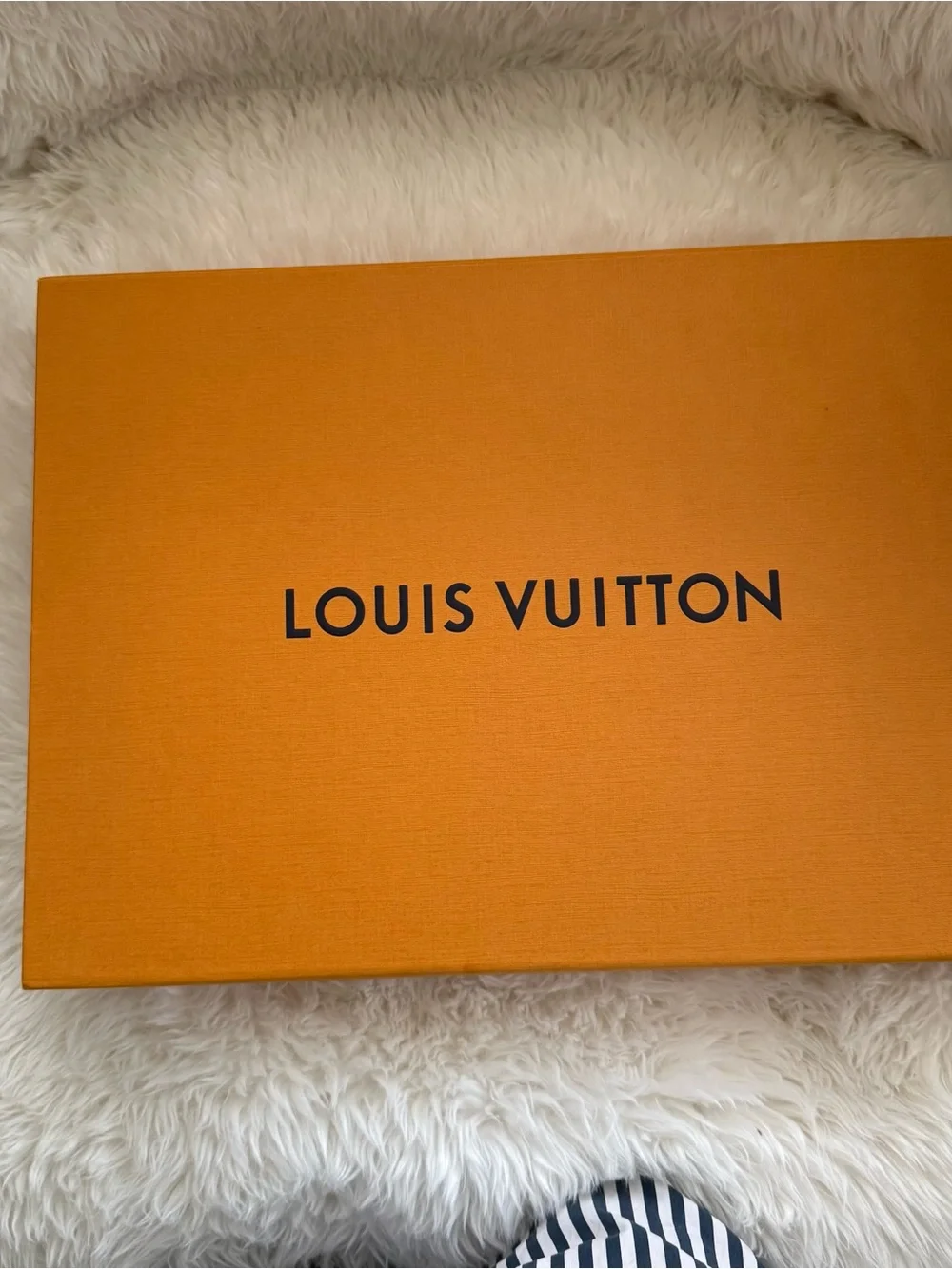 Louis Vuitton Rubis Logomania Scarf